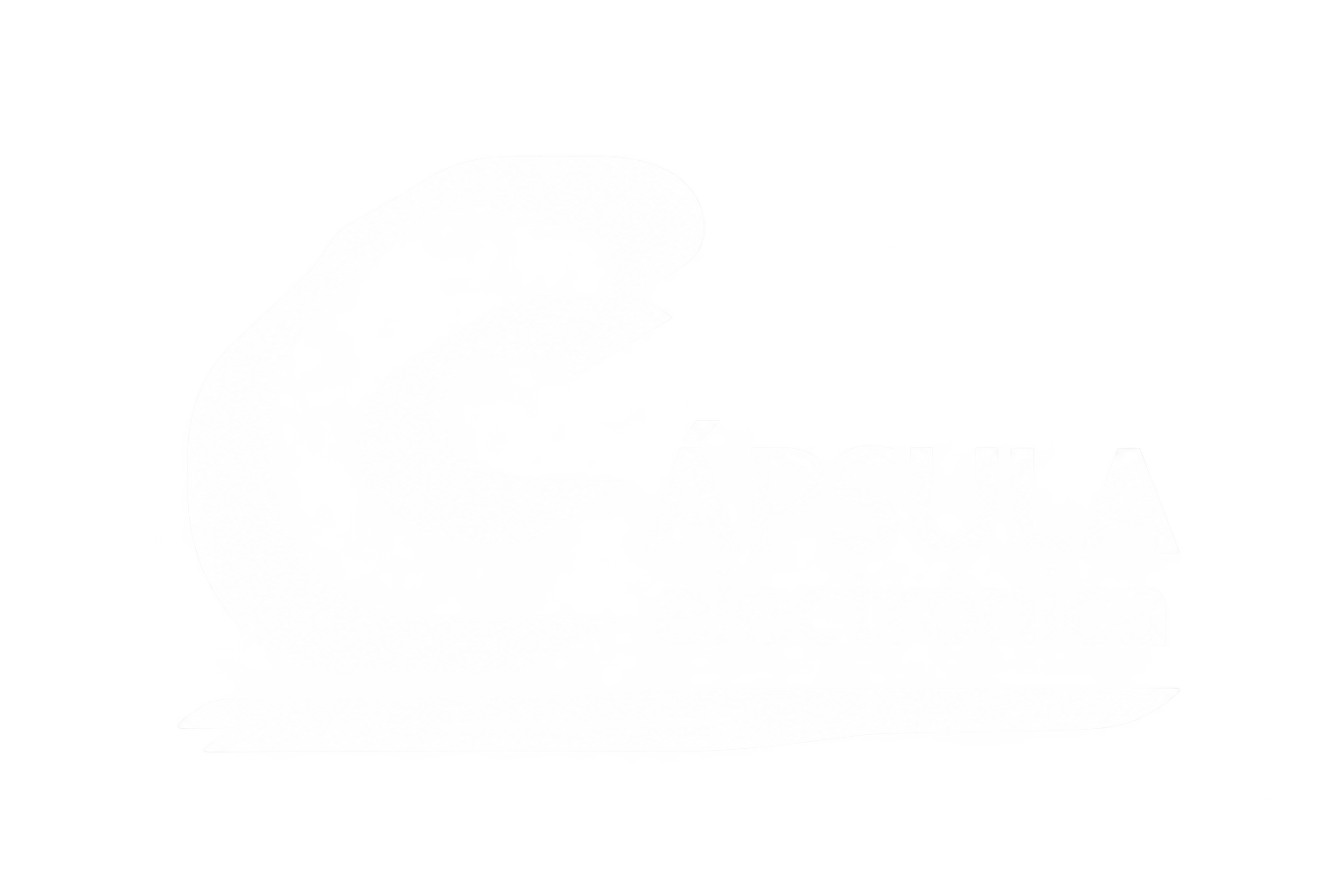 Cápsula Electrónica